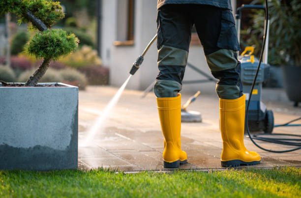 Best Exterior Home Cleaning  in Latta, SC